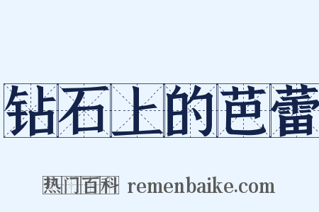 钻石上的芭蕾是什么意思的图片